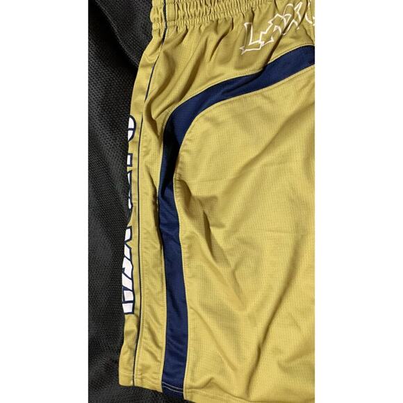 UPJ LAX Mountain Cats PITT-Johnstown PA PRO Basketball Ladies Womens Shorts Sz L - Picture 12 of 14